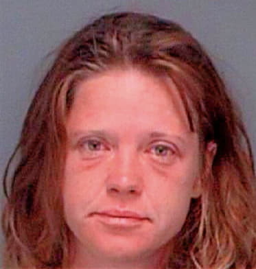 Stewart Sheree - Pinellas County, FL 