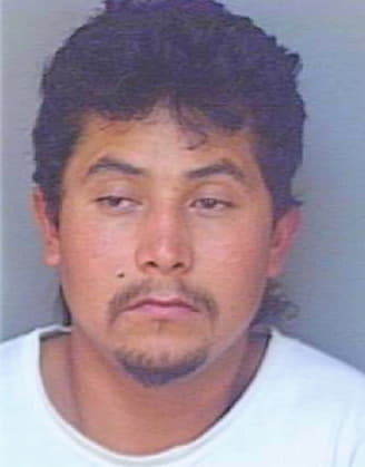Hernandez-Roquie Toribio - Polk County, FL 