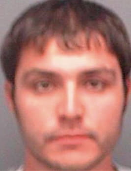 Hernandez Anthony - Pinellas County, FL 