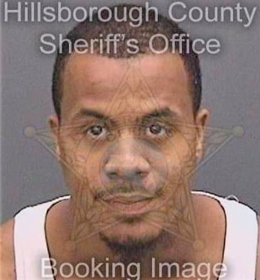 Ferguson Deondrae - Hillsborough County, FL 
