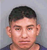 Mejiahernandez Enrique - Collier County, FL 
