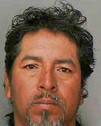 Velazquez Erminio - Polk County, FL 