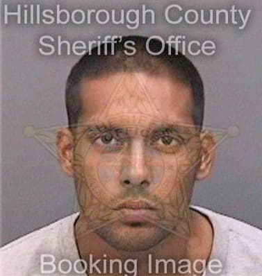 Singh Jesse - Hillsborough County, FL 
