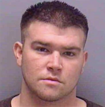 Wallace Michael - Lee County, FL 