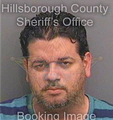 Nievesortiz Victor - Hillsborough County, FL 