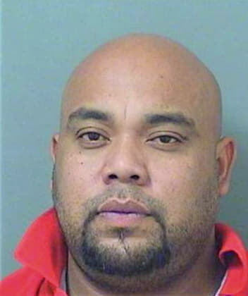 Gonzalez David - PalmBeach County, FL 