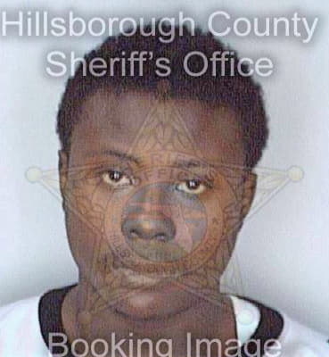 Brookins Gerren - Hillsborough County, FL 