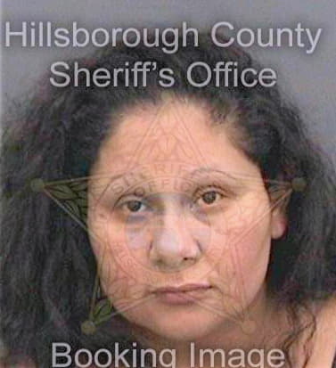 Cruz-Villa--Martinez Guadalupe - Hillsborough County, FL 