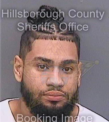 Quinones Jorge - Hillsborough County, FL 