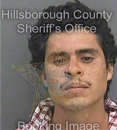 Sifuentesmarin Jose - Hillsborough County, FL 