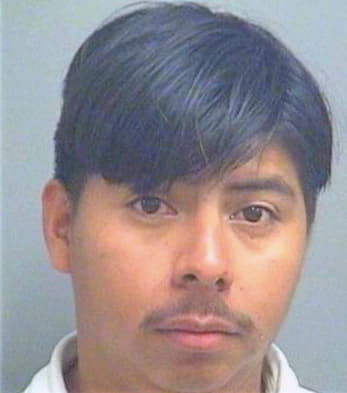Ramirezsandoval Juan - PalmBeach County, FL 