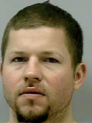 Brichikov Mark - Gwinnett County, GA 