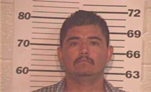 Sepulveda Adalberto - Hidalgo County, TX 