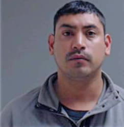 Maldonado Eliezar - Hidalgo County, TX 