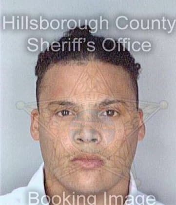 Olmeda Eric - Hillsborough County, FL 