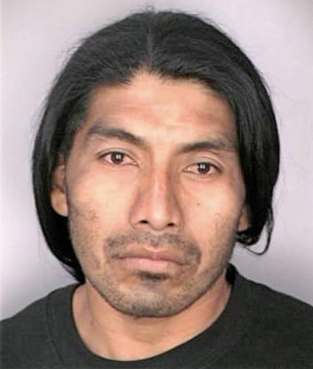 Cruz Manolo - Hillsborough County, FL 