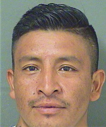 Sebastian Miguel - PalmBeach County, FL 