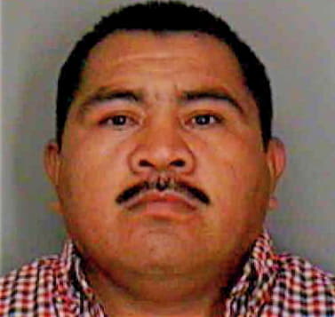 Hernandez Antonio - Polk County, FL 