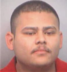 Rojas Felix - Fulton County, GA 