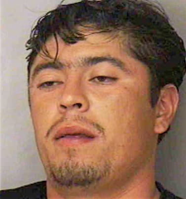 Pelaez Jacobo - Polk County, FL 