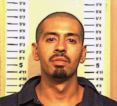 Alvarez Luis - Denton County, TX 