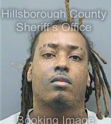 Stokes Clinton - Hillsborough County, FL 