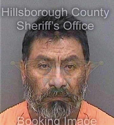 Antunezsimon Domingo - Hillsborough County, FL 