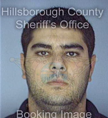 Elgharbi Hamza - Hillsborough County, FL 