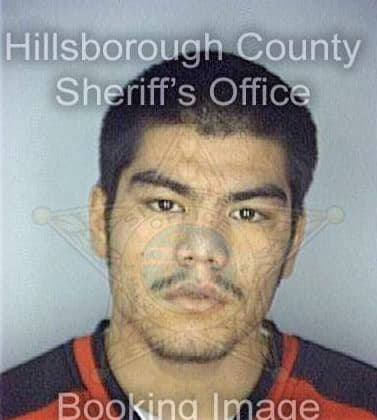 Hernandez Jose - Hillsborough County, FL 