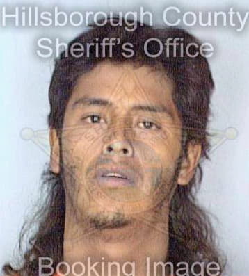 Perezhernandez Jose - Hillsborough County, FL 