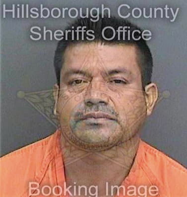 Silvagarcia Enrique - Hillsborough County, FL 