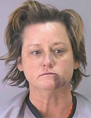 Hudson Karen - Dekalb County, GA 