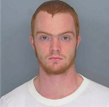 Johnson William - Douglas County, GA 
