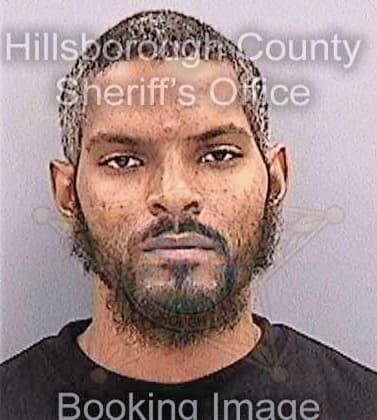 Dillard Michael - Hillsborough County, FL 