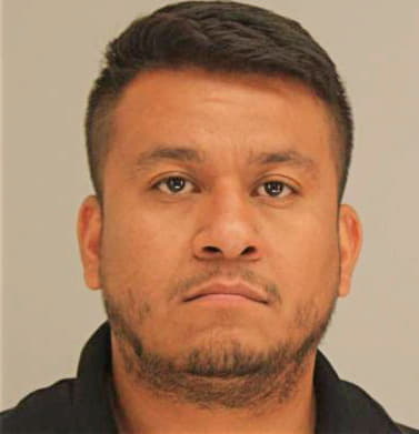 Navarro Ociel - Dallas County, TX 