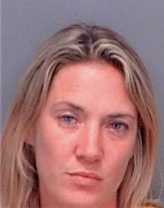 Sarafian Tracy - Pinellas County, FL 