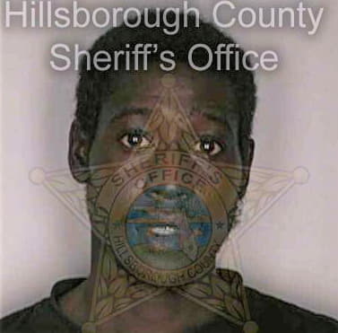 Irving William - Hillsborough County, FL 
