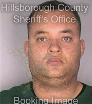 Gichie Donovan - Hillsborough County, FL 