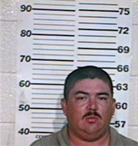 Castillo Jaime - Hidalgo County, TX 