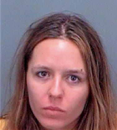 Vermillion Julianna - Pinellas County, FL 