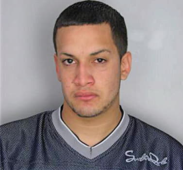 Medina Brian - Hillsborough County, FL 