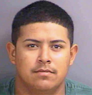 Mendez Carlos - Collier County, FL 