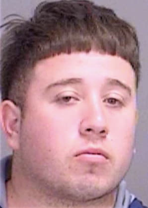 Nieto-Diaz Elias - Brazos County, TX 