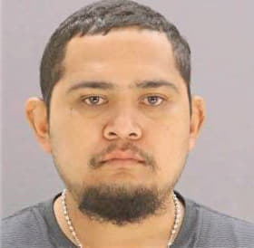 Flores Gerado - Dallas County, TX 