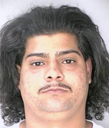 Melendez Javier - Hillsborough County, FL 