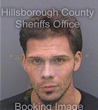 Brown Michael - Hillsborough County, FL 