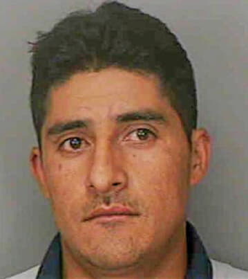 Trejo Napoleon - Polk County, FL 