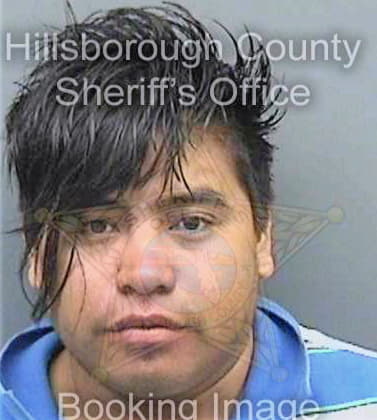 Rodriguez Ernesto - Hillsborough County, FL 