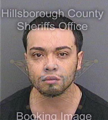 Caceres William - Hillsborough County, FL 