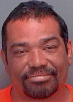 Santiago William - Pinellas County, FL 